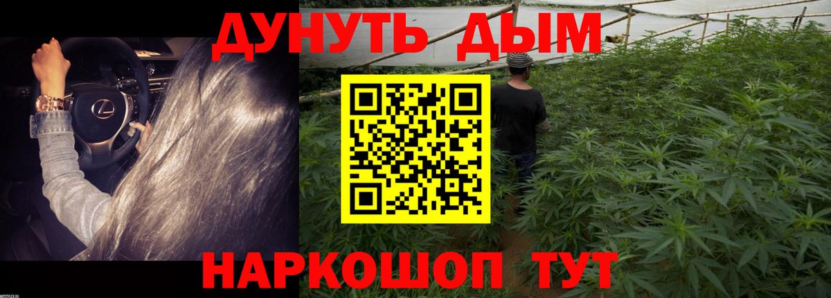 МАРИХУАНА White Widow Сокол